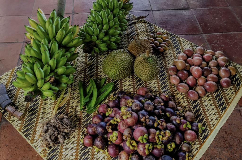 Fresh tropical fruits including bananas, durian and mangosteen laid out on a woven mat, part of the local produce at the Bali retreat