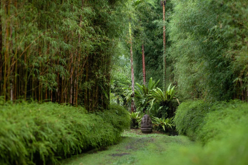 A lush bamboo grove path at the Bali eco-lodge, with a small stone statue nestled among ferns