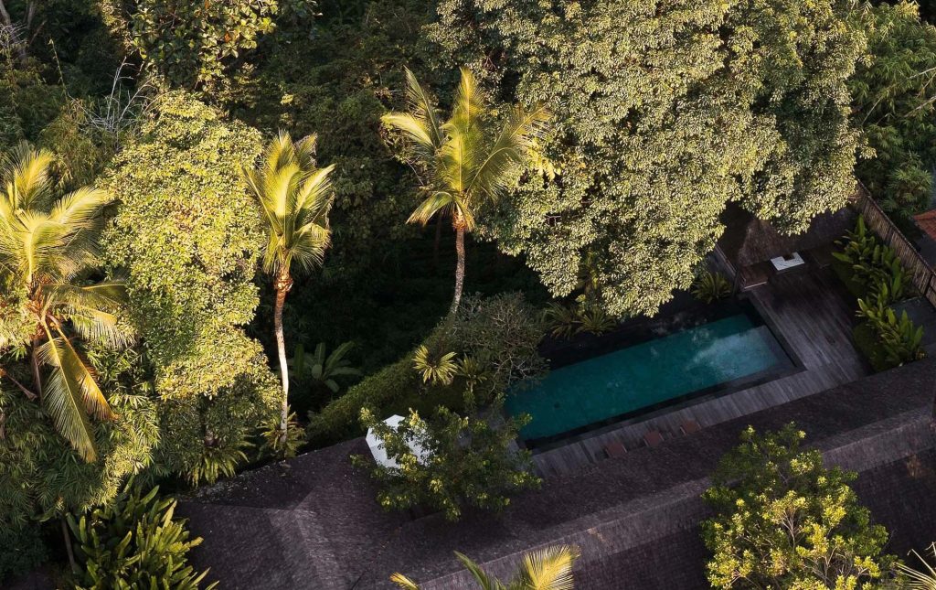 Aerial view of a long lap pool surrounded by dense tropical rainforest and palm trees at the Bali eco-lodge, in golden evening light