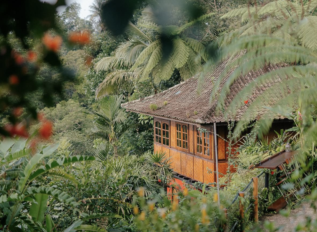 A wooden bungalow with a tiled roof nestled into a hillside, surrounded by dense tropical vegetation and flowering plants at the Bali retreat