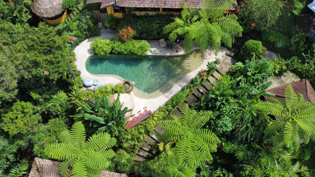 Aerial view of a curved swimming pool surrounded by dense tropical greenery at the eco-lodge near Mount Batukaru, Bali